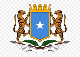 Govt of somalia